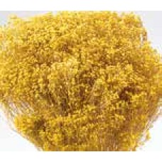 BLOOMS BROOM Yellow- OUT OF STOCK